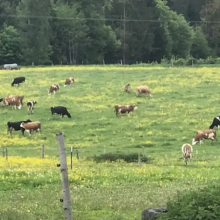 Ferien Auf Dem Eliesenhof Lejlighed Welzheim Eksteriør billede