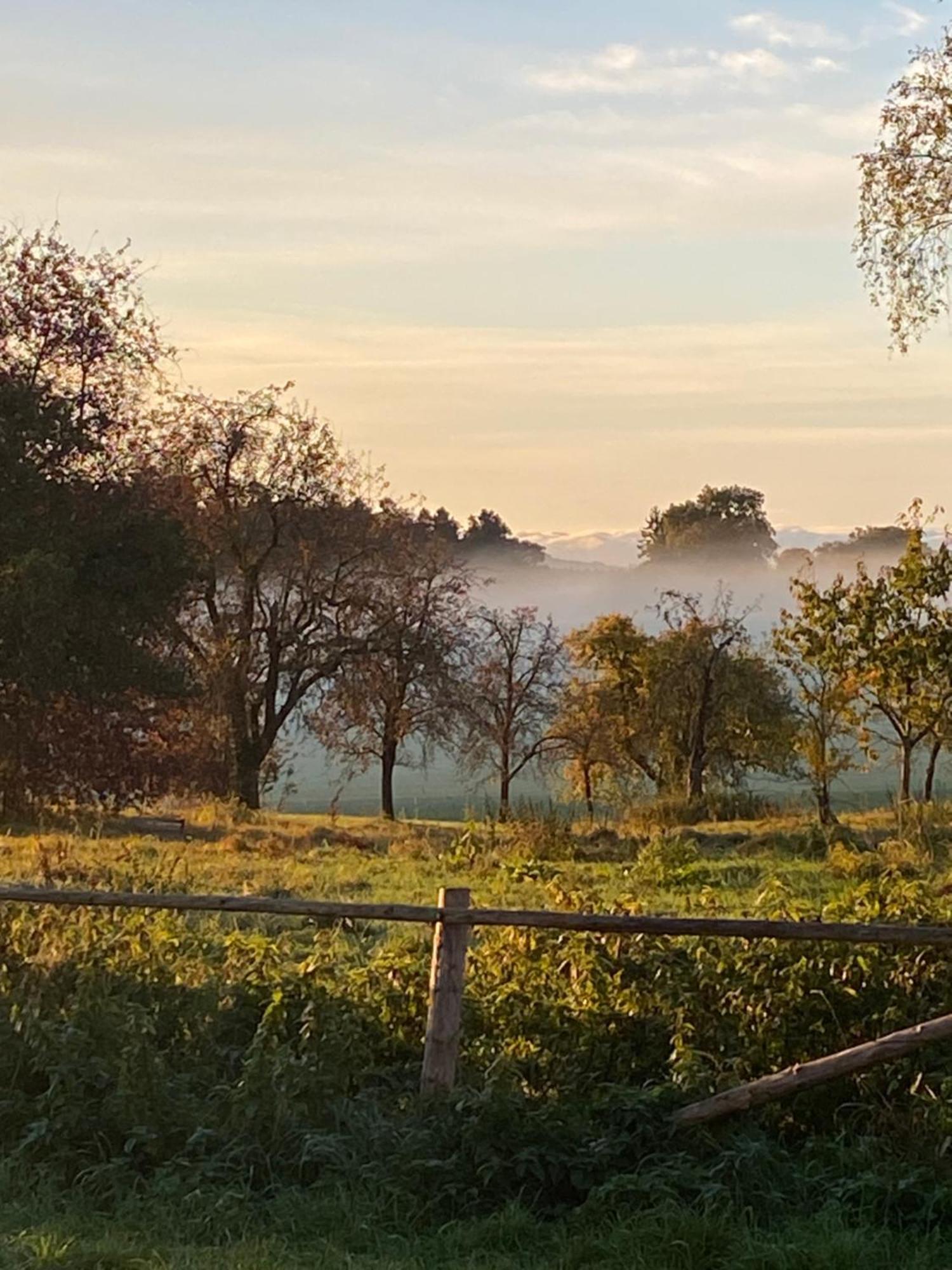 Lejlighed Ferien Auf Dem Eliesenhof *