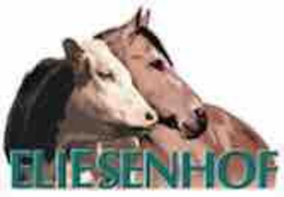 Ferien Auf Dem Eliesenhof